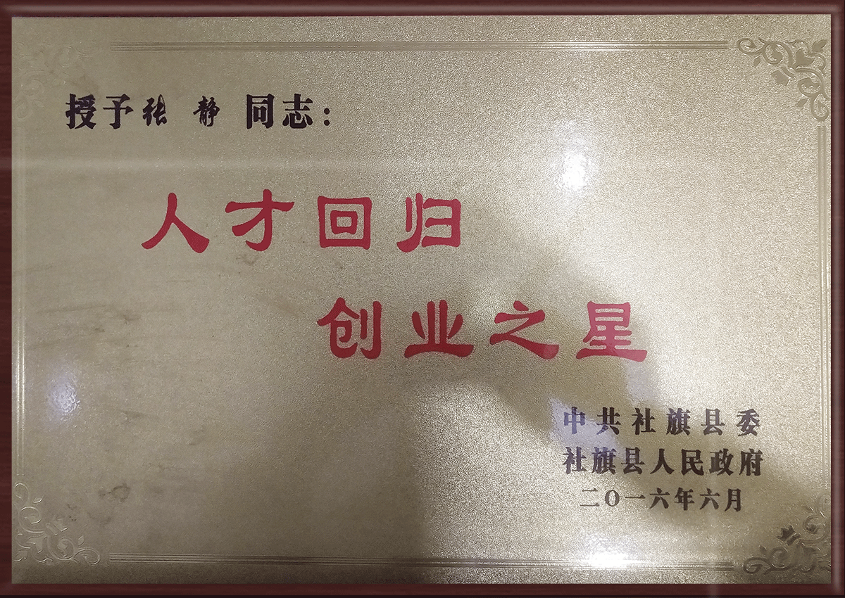 人才回归创业之星