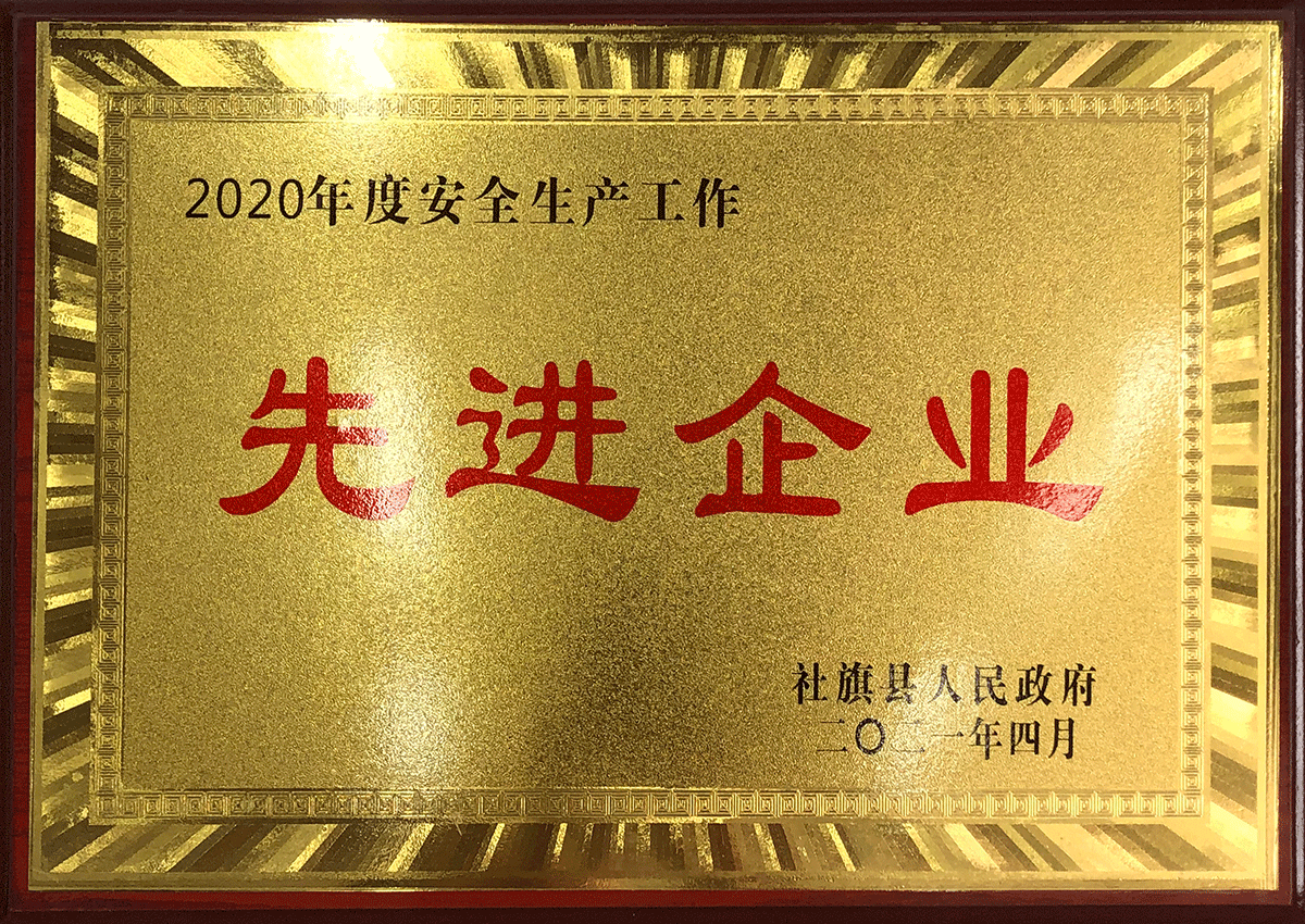 2020年先进企业